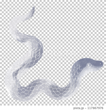 水墨画風の巳年、年賀状に使える龍のイラスト素材 117867976