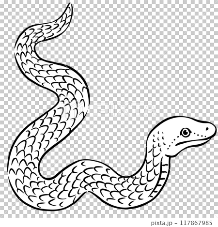 新年賀卡素材_手繪筆觸蛇插畫 117867985