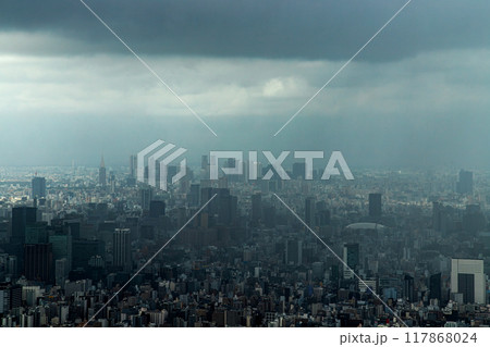 東京 局地的豪雨 東京 局地的豪雨 117868024