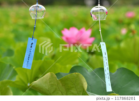 上野不忍池の風鈴夏祭り 上野不忍池の風鈴夏祭り 117868201