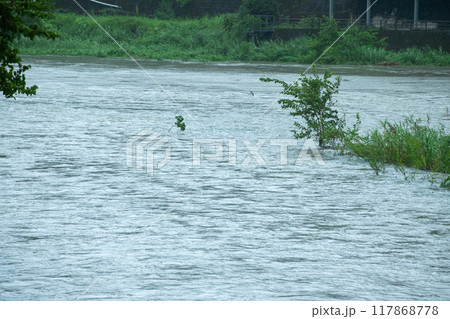 台風による増水 台風による増水 117868778