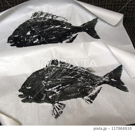 堤防から釣れた魚　ヘダイ、記念撮影、魚拓 117868810