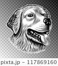 Head of a golden retriever, a labrador. Dog head portrait for sticker, emblem, label, print design. Vintage retro line art ink style. Purely vector illustration, without tracing, hand drawn by human. 117869160