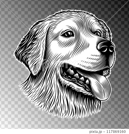 Head of a golden retriever, a labrador. Dog head portrait for sticker, emblem, label, print design. Vintage retro line art ink style. Purely vector illustration, without tracing, hand drawn by human. 117869160
