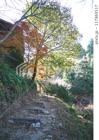 紅葉がきれいな宮路山 紅葉がきれいな宮路山 117869517