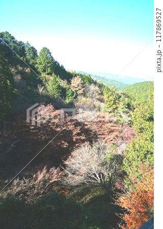 紅葉がきれいな宮路山 117869527