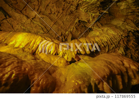 竜ヶ岩洞(浜松市)洞内 鳳凰の間 竜ヶ岩洞(浜松市)洞内 鳳凰の間 117869555