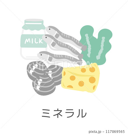 ミネラルを含む食品 イラストセット ミネラルを含む食品 イラストセット 117869565