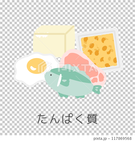 含有蛋白質插圖集的食物 含有蛋白質插圖集的食物 117869568