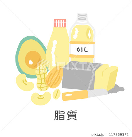 脂質を含む食品　イラストセット 117869572
