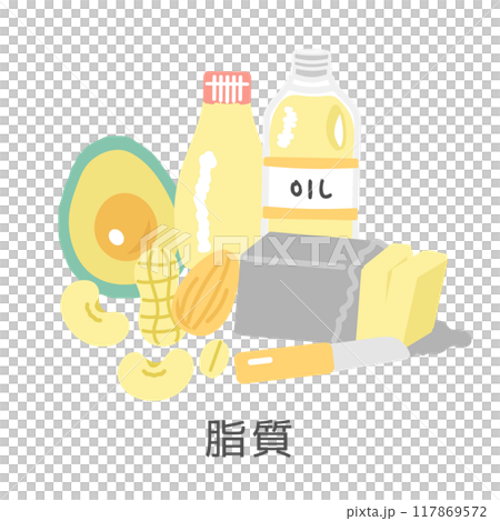 脂質を含む食品　イラストセット 117869572