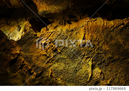 竜ヶ岩洞（浜松市）洞内 117869668