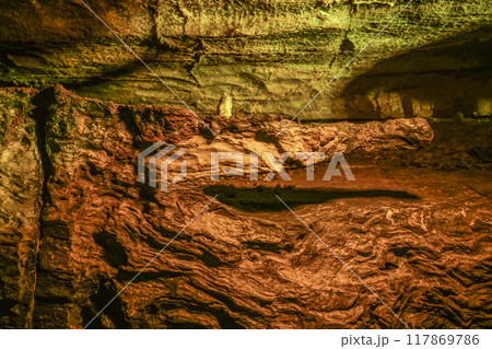 竜ヶ岩洞(浜松市)洞内 ワニの岩 竜ヶ岩洞(浜松市)洞内 ワニの岩 117869786