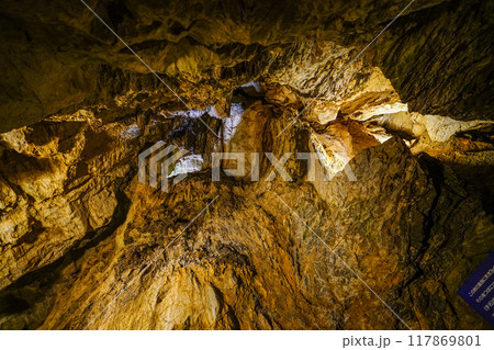 竜ヶ岩洞（浜松市）洞内 117869801