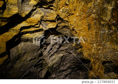 竜ヶ岩洞（浜松市）洞内 117869831