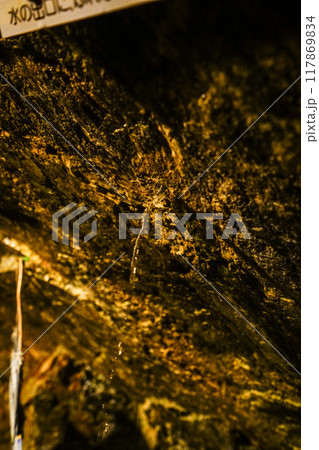 竜ヶ岩洞(浜松市)洞内 天恵の泉 竜ヶ岩洞(浜松市)洞内 天恵の泉 117869834