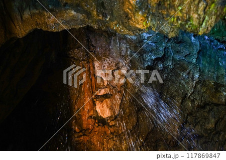 竜ヶ岩洞（浜松市）洞内　黄金の大滝 117869847