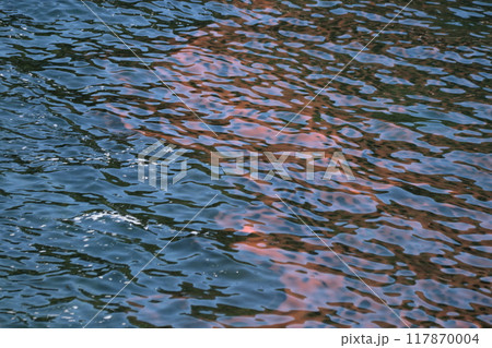 赤潮 赤潮 117870004