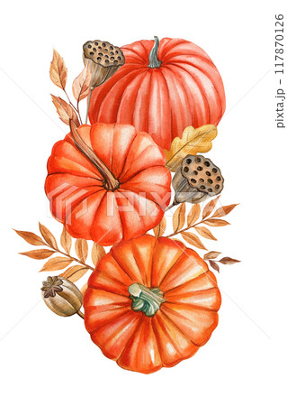 Pumpkin, flowers, leaves isolated white background, watercolor botanical illustration hand drawing autumn poster, card 117870126
