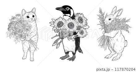 バラを持つ猫、ひまわりを持つペンギン、ススキを持つウサギの塗り絵。 バラを持つ猫、ひまわりを持つペンギン、ススキを持つウサギの塗り絵。 117870204