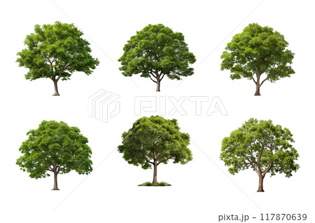 Tree Collection Bundle Set Isolated on a Transparent Background 117870639