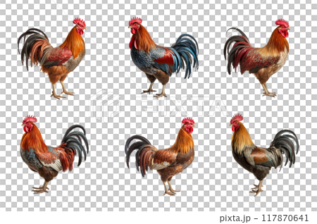 Rooster Collection Bundle Set Isolated on a Transparent Background 117870641
