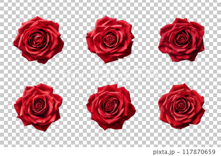 Red Rose Collection Bundle Set Isolated on a Transparent Background 117870659