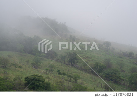 霧に覆われた高原　霧ヶ峰 117870821