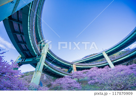 【静岡県】河津桜咲く、河津七滝ループ橋　夕景 117870909