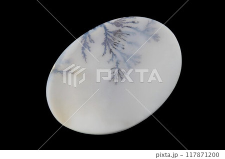 デンドリティック・アゲート 風景を宿す石 デンドリティック・アゲート 風景を宿す石 117871200