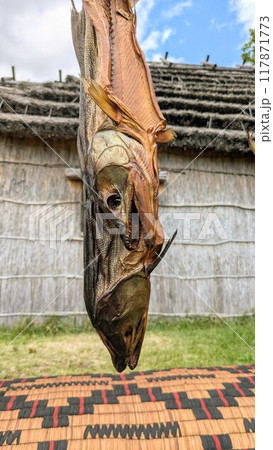 ウポポイのチセの前で天日干しされる鮭 117871773