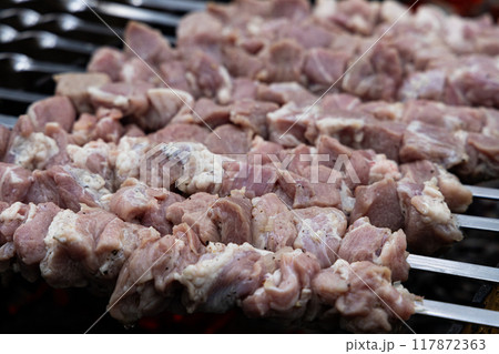 Succulent Meat Skewers Sizzling on a Summer Grill Succulent Meat Skewers Sizzling on a Summer Grill 117872363