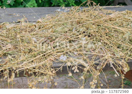 Wild grass. Dried grass dries on wooden table. Delicate floral arrangement of dried wildflowers. Arrangement in farmhouse. Wild grass. Dried grass dries on wooden table. Delicate floral arrangement of dried wildflowers. Arrangement in farmhouse. 117872560