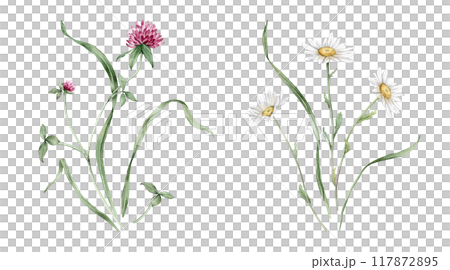 Watercolor botanical set of bouquets of summer meadow flowers. Hand drawn illustration of chamomile and clover. Yellow white and purple pink flowers and green grass on isolated background. Watercolor botanical set of bouquets of summer meadow flowers. Hand drawn illustration of chamomile and clover. Yellow white and purple pink flowers and green grass on isolated background. 117872895