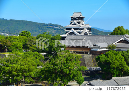 熊本城 117872985