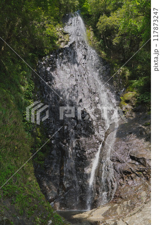 涼を求めて兵庫県美方郡の滝へpart2 涼を求めて兵庫県美方郡の滝へpart2 117873247