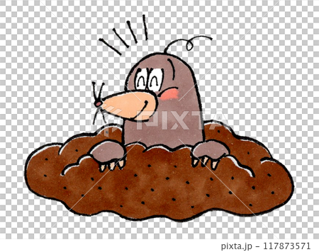 快樂鼴鼠 117873571