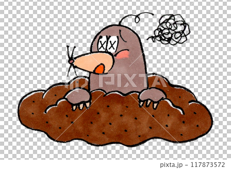 Mole Visits 117873572