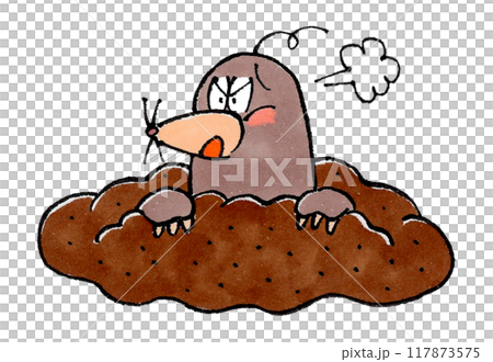 Angry Mole 117873575