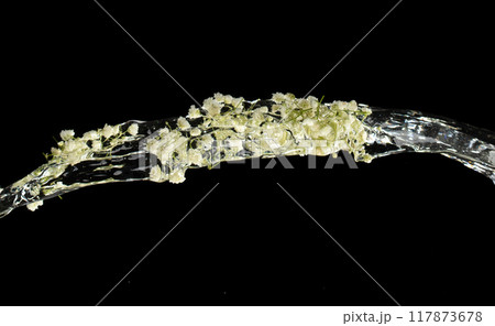 Pouring gypsophila flower over water splash. Flowing water with gypsophila flower over black background isolated Pouring gypsophila flower over water splash. Flowing water with gypsophila flower over black background isolated 117873678