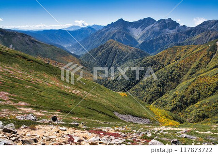 紅葉の一ノ沢から大天井岳 117873722