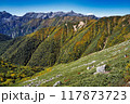 紅葉の一ノ沢から大天井岳 117873723