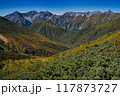 紅葉の一ノ沢から大天井岳 117873727