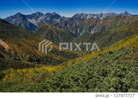 紅葉の一ノ沢から大天井岳 117873727