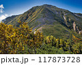 紅葉の一ノ沢から大天井岳 117873728