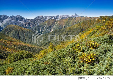 紅葉の一ノ沢から大天井岳 117873729