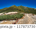 紅葉の一ノ沢から大天井岳 117873730
