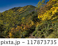 紅葉の一ノ沢から大天井岳 117873735