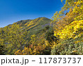 紅葉の一ノ沢から大天井岳 117873737