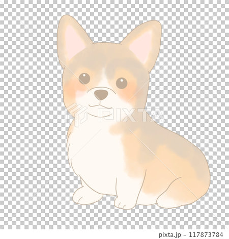 坐著的柯基犬的插圖 坐著的柯基犬的插圖 117873784
